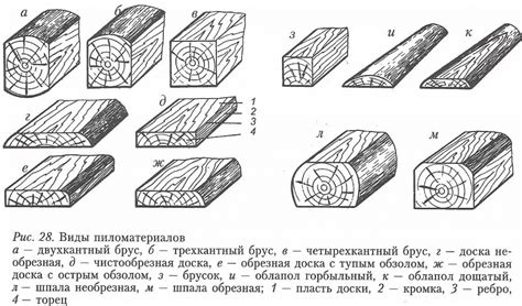 Что такое сорта древесины: основные понятия и определения