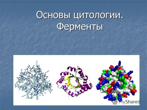 Что такое специфические белки: основные понятия и их значение