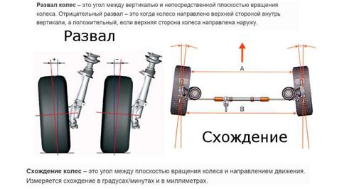 Что такое сужение передних рогов?