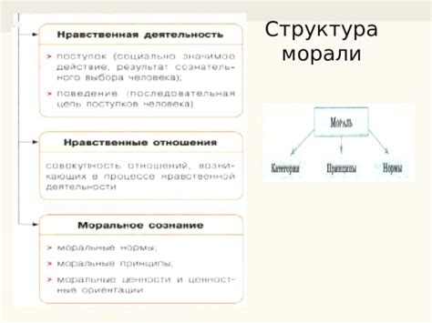 Что такое сфера сотрудничества: важные аспекты и принципы