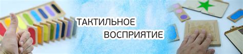 Что такое тактильное восприятие?