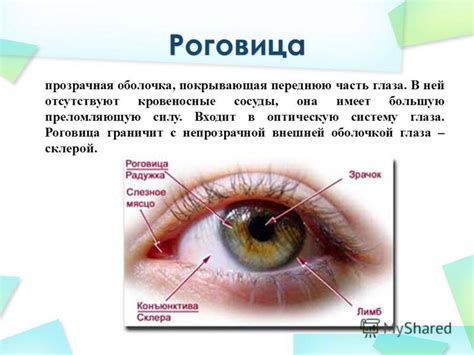 Что такое толстая роговица глаза?