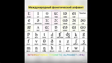 Что такое транскрипция?