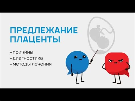 Что такое хорион полностью перекрывает внутренний зев?