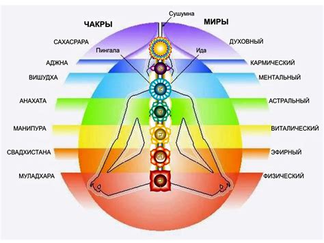 Что такое чакры и какое значение имеет красная чакра