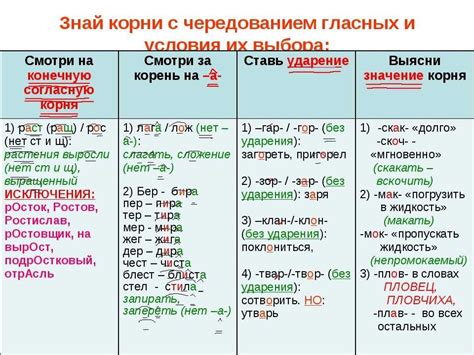 Что такое чередование гласных в русском языке?