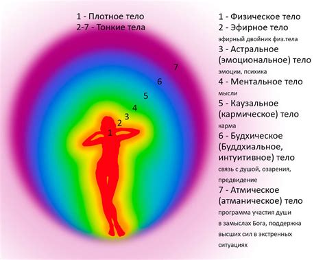 Что такое энергетическое тело