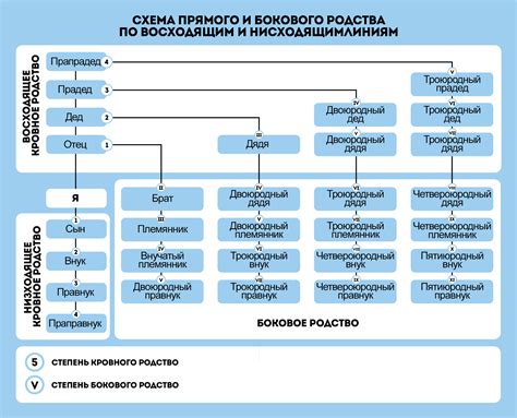 Что такое 3 поколение родственников?