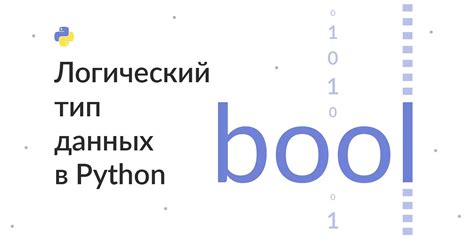 Что такое bool false?