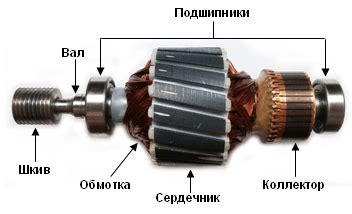 Что это такое - коллекторный тип мотора?