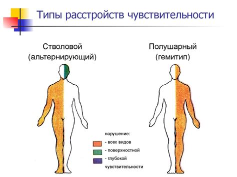 Чувствительность и ее внешность