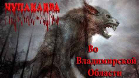 Чупакабра во сне: предвестник перемены или преграда на пути к самореализации?