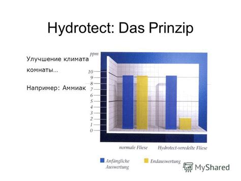 Шерстяная зона: улучшение климата комнаты