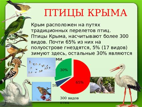 Эволюционные преимущества дальних перелетов у птиц: разнообразие видов и возможность освоения новых территорий