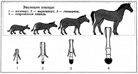 Эволюция значений со временем