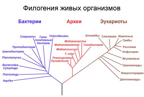 Эволюция значения приставки "де" на протяжении веков