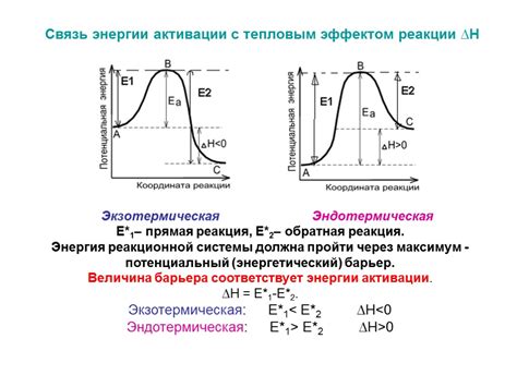 Экзотермическая реакция: суть и механизм действия