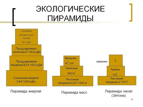 Экологическая и экономическая ценность разнообразия биомов