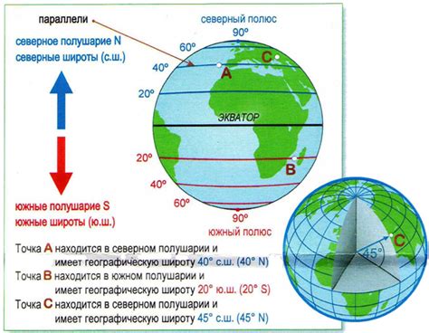 Экологическая роль южной широты