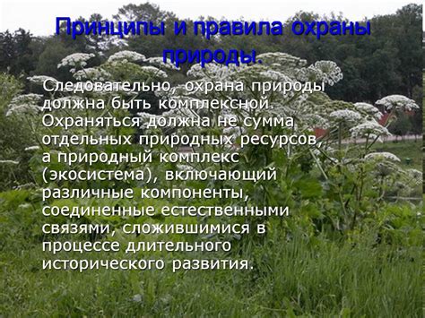 Экологическая ситуация и особенности охраны природы в Североморске