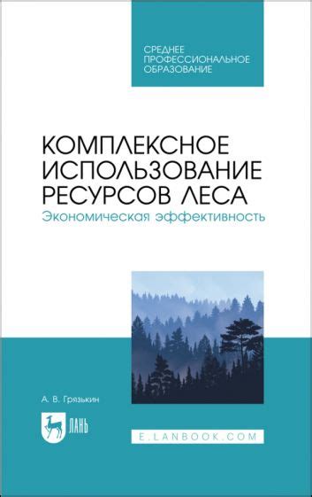 Экономическая эффективность: рациональное использование ресурсов