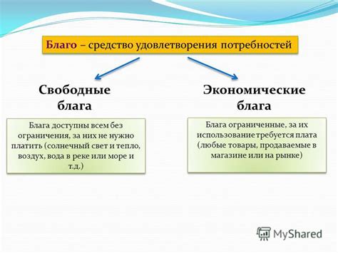 Экономические и общественные выгоды наличия адаптированного пассажирского транспорта