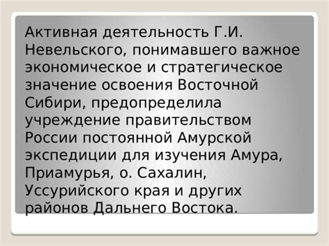 Экономическое значение Невельского в современности