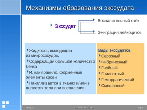 Экссудат: определение и роль в медицине