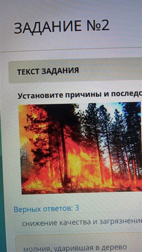 Эксцесс: причины и последствия этого опасного явления