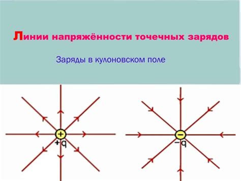 Электрическое поле в природе и его проявления