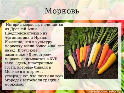 Эмоции и ассоциации, вызываемые морковью во сне