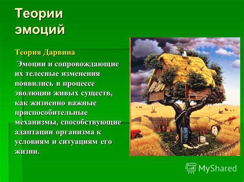 Эмоции и чувства, сопровождающие сны о своем будущем плоде в соответствии с сонником Миллера