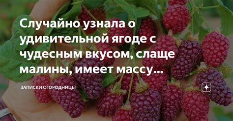 Эмоциональное состояние и его отражение в сновидениях о ягоде малины