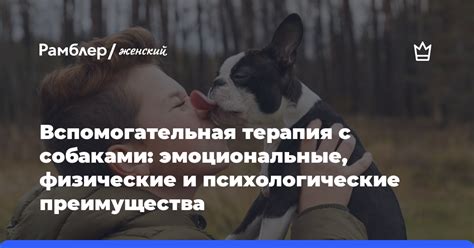 Эмоциональные и психологические интерпретации прекрасных мягких плодов во время ночных видений