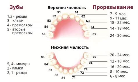 Эмоциональные состояния, связанные со сном о появлении первых зубов у ребенка