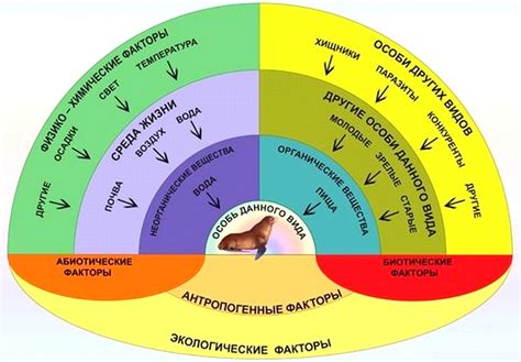 Эмоциональные факторы в повторении фраз