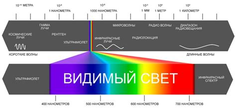 Энергетическое значение фиолетового света