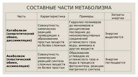 Энергия для метаболизма хрусталика