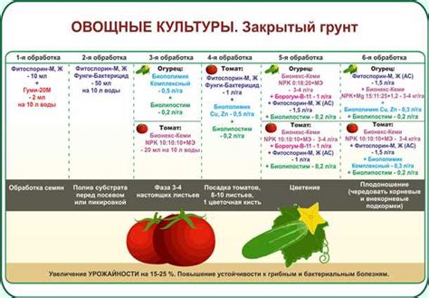 Этапы процесса обработки баклажанов перед бланшированием