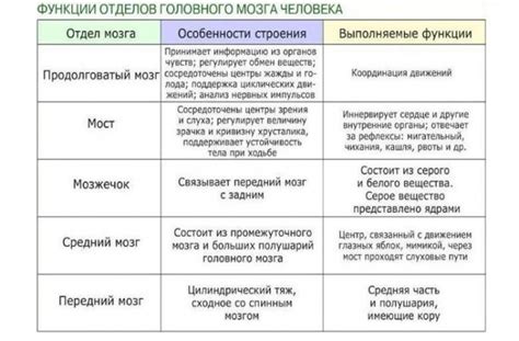 Этапы развития: начало, промежуточный, завершение