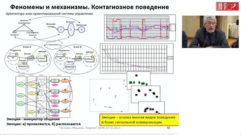 Этические аспекты социального измерения