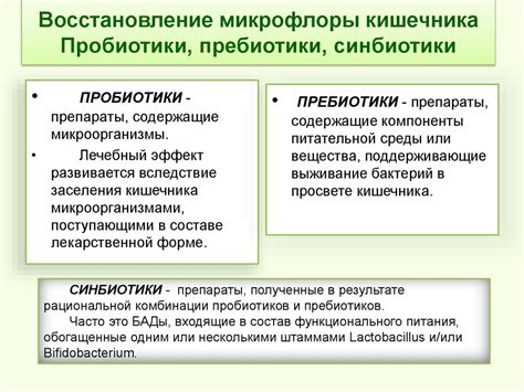 Эубиотики: значимость для здоровья и принципы действия