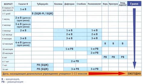 Эффективность и безопасность календаря прививок