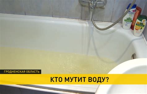 Эффективные методы борьбы с мутной водой