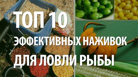 Эффективные примеры использования наживки для ангела