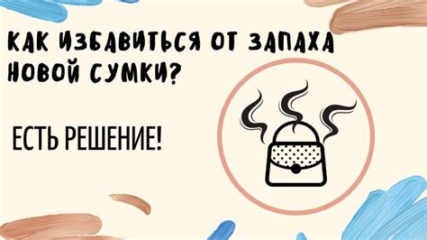 Эффективные советы по удалению запаха рыбы из новой сумки