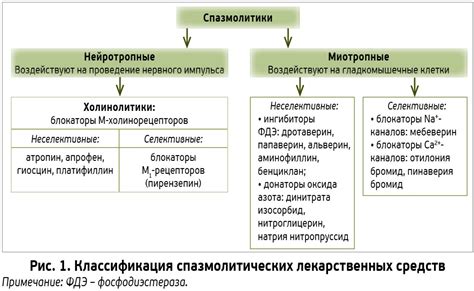 Эффекты от применения спазмолитических препаратов