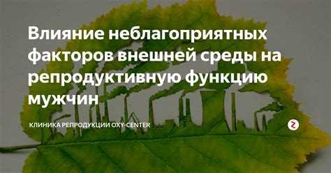 Эффект глюкофажа на репродуктивную функцию