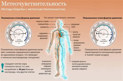 Эффект на организм: