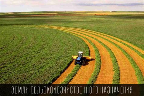 Юридическое и законодательное обеспечение разрешенного сельскохозяйственного использования